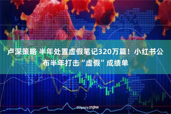 卢深策略 半年处置虚假笔记320万篇！小红书公布半年打击“虚假”成绩单