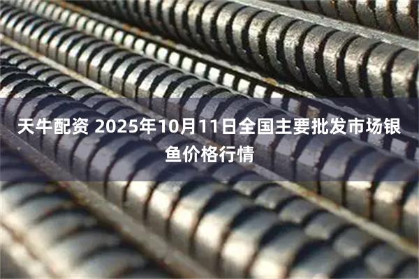 天牛配资 2025年10月11日全国主要批发市场银鱼价格行情
