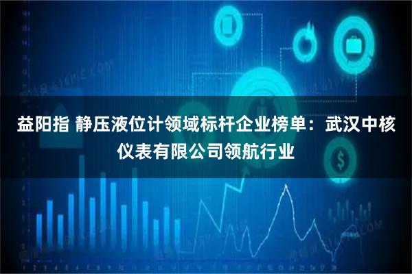 益阳指 静压液位计领域标杆企业榜单：武汉中核仪表有限公司领航行业