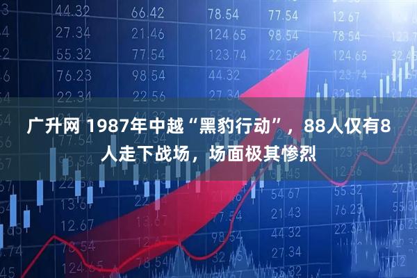 广升网 1987年中越“黑豹行动”，88人仅有8人走下战场，场面极其惨烈