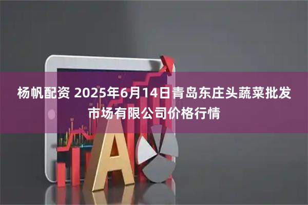 杨帆配资 2025年6月14日青岛东庄头蔬菜批发市场有限公司价格行情