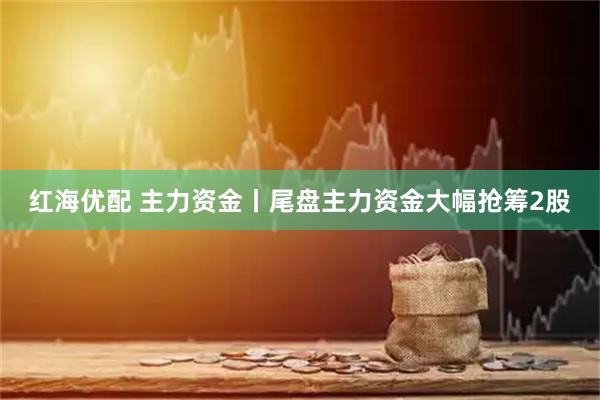 红海优配 主力资金丨尾盘主力资金大幅抢筹2股