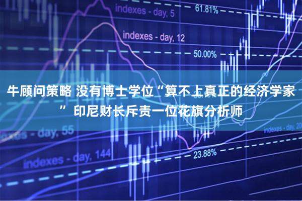 牛顾问策略 没有博士学位“算不上真正的经济学家” 印尼财长斥责一位花旗分析师